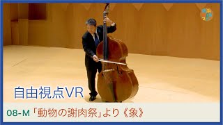 Download lagu サン＝サーンス：《象》米長幸一_自由視点VR　C.Saint-Sains: 'Carnival of the Animals, Ⅴ Elefant'｜YWS mp3