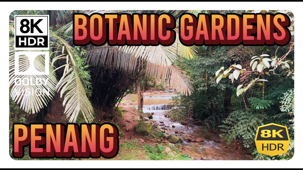 Experience a virtual tour around the Penang's Botanical Gardens.