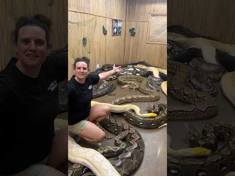 What’s in the secret snake room?😮