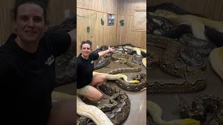 Download lagu What’s in the secret snake room?😮 mp3 Download lagu What’s in the secret snake room?😮 mp3