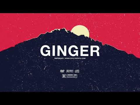 (FREE) Tory Lanez ft PARTYNEXTDOOR & Drake Type Beat - "Ginger" | Dancehall Instrumental 2022