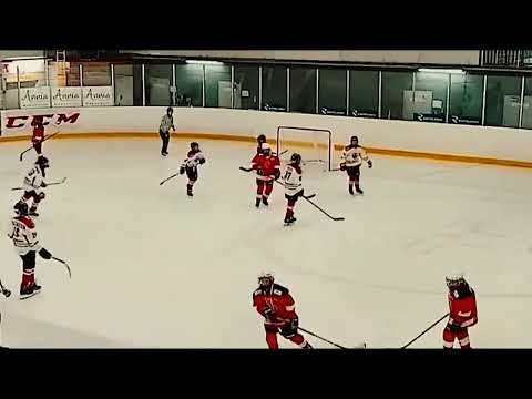 HPK U13 AA 2024 - HPK Sininen vs HC Panter