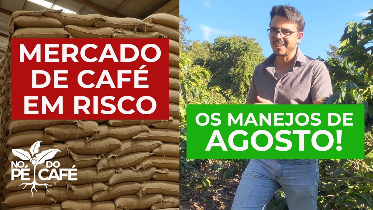 Tem INFORMAÇÕES IMPORTANTES pra você VENDER SEU CAFÉ e para CUIDAR DA LAVOURA no mês de AGOSTO...