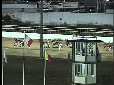 Trotto 25/07/2015 - 1° prova di qualifica