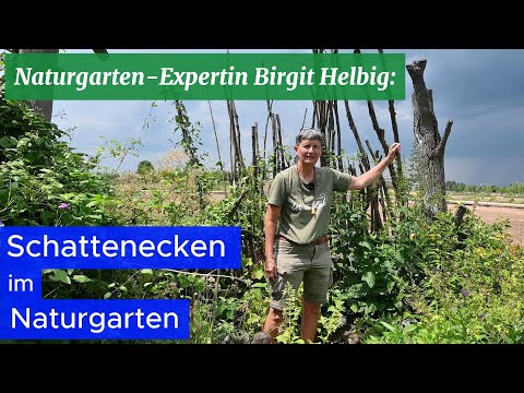 Mache mit! Naturgarten-Expertin Birgit Helbig: Schattenecken im Naturgarten