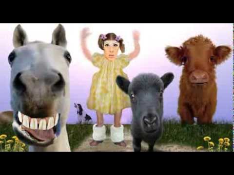Little White Horse - Animal Sounds and Song for Kids to Learn