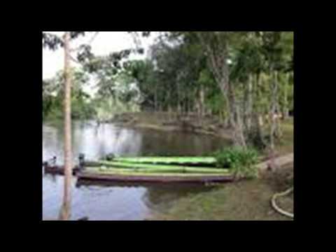 MARCHA DJOE  KONG U POOLO