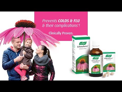 Echinaforce AD Roll 01. How nature’s strongest cold and flu fighter works?