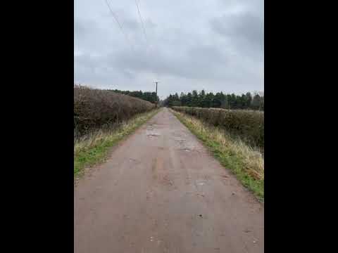 Canyon Grail AL 7.0 GRX x2