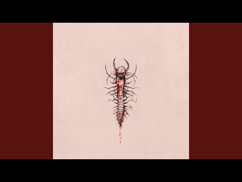 Сколопендра