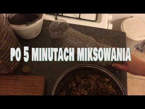 Jak zrobić kompost w butelce? - idealne gdy nie masz ogrodu lub dużo miejsca w domu