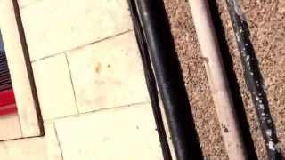 Players for sale or rent , buy the club for 50pence , G.G.T.T.H