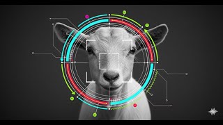 Gemini Prompt Engineering in 60 Seconds