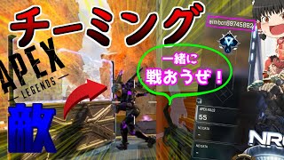 【Apex】野良の味方がチーターかと思ったら猛者だったけどチーミングしてた件について part21【ゆっくり実況】