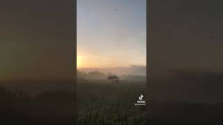 Download lagu STORY WA PAGI HARI mp3