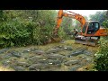 Full Video Fishing Exciting Use Large Excavator Catch Many Of Fish Capacity Pump Suck Water
