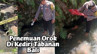 Download lagu Heboh Penemuan Orok Wanita di Kecamatan Kediri Kabupaten Tabanan IQ8 CHANNEL mp3