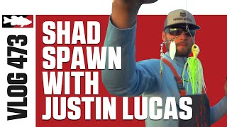 Justin Lucas Fishing Shad Spawn on Guntersville Pt. 3