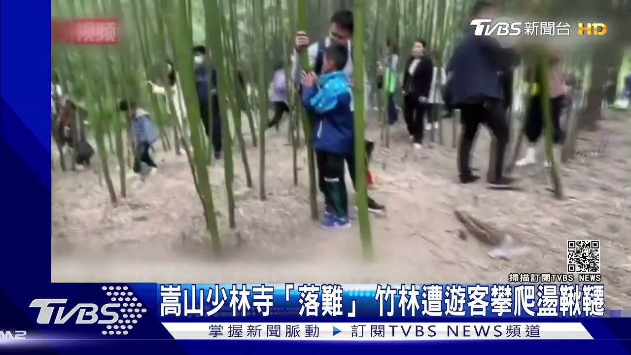陸五一亂象！少林寺「落難」竹林遭遊客攀爬破壞　明代古碑被刻字