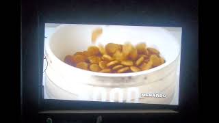 Menards 4 Laminate Countertop and Grain Free Dog Food.