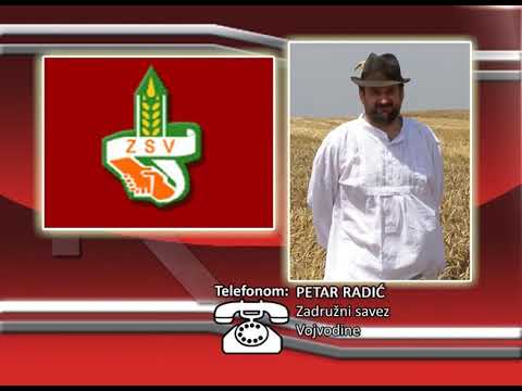 FONO: Petar Radić - Mehanizacija