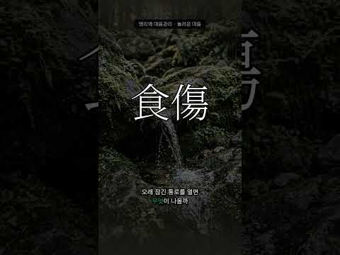 표현하고 싶은 마음, 눌러온 마음 | 식상