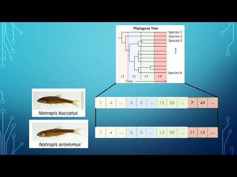 KDD 2023 - Discovering Novel Biological Traits From Images Using Phylogeny-Guided Neural Networks