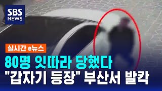 80명 잇따라 당했다..갑자기 나타나더니 부산서 발칵 / SBS / 실시간 e뉴스