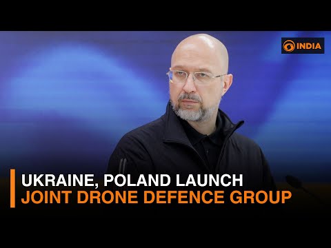 Ukraine, Poland launch joint drone defence group