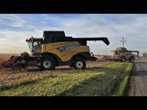 🌽 Corn Harvest 🌽 Sklizeň zrnové kukuřice na Hané 2025 🌽 3/3