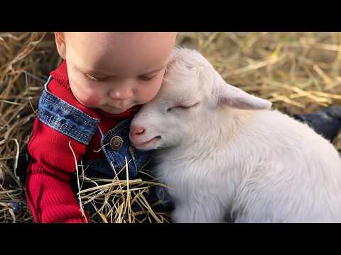 Adorable Baby & Animal Moments You Must See!😍 Animal and Human Videos 2025