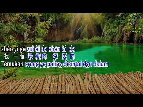 Dan Shen Qing Ge (MandarinSong) ~ Karaoke || Male Key