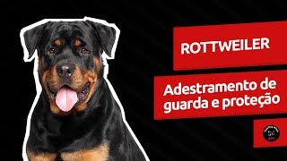 video guardog na mídia