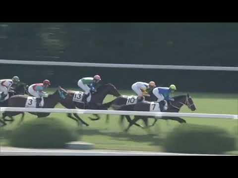 2019.10.20 2yo Newcomer (JPN) - L'Excellence