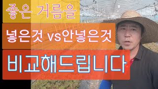 농사기초교육 흙 유기물의 중요성을 식물로 비교했습니다