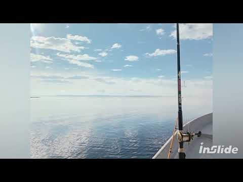 salida de la riviera   pasando x puerto de los botes a laguna rocha  muy cresido  pero lindo siempre