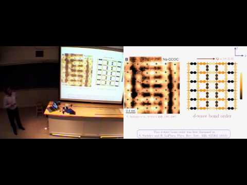 Subir Sachdev: colloquium on high temperature superconductivity