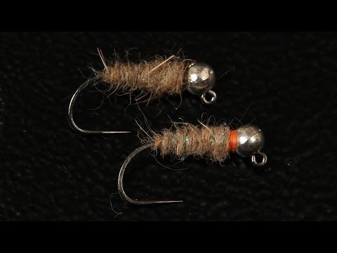 Walt's Worm and the Sexy Walt's