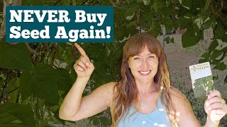 Seed Saving Secrets Every Homesteader Needs