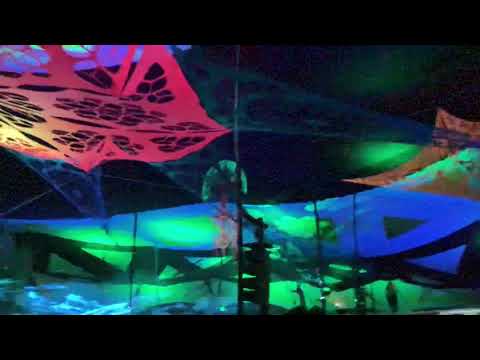 Árvore da Vida 2019 - Labirinto e Nevermind