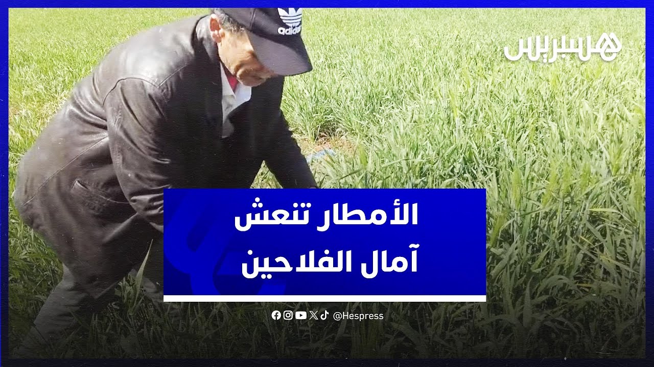 الأمطار والثلوج تنعش الموسم الفلاحي في جبال بني ملال..فلاحون:"مكناش معولين على هاد الخير الناس حرثو" thumbnail