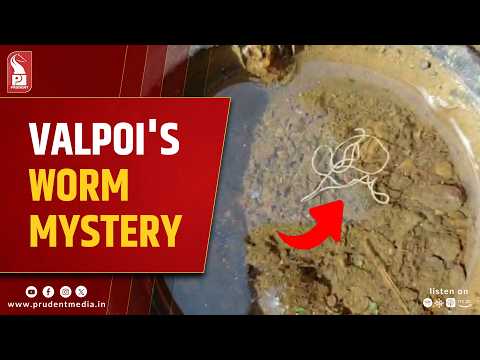 Valpoi Tap Water Worm Horror Continues 