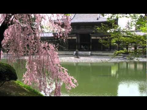 noriko san nidiyanna - Amal perere