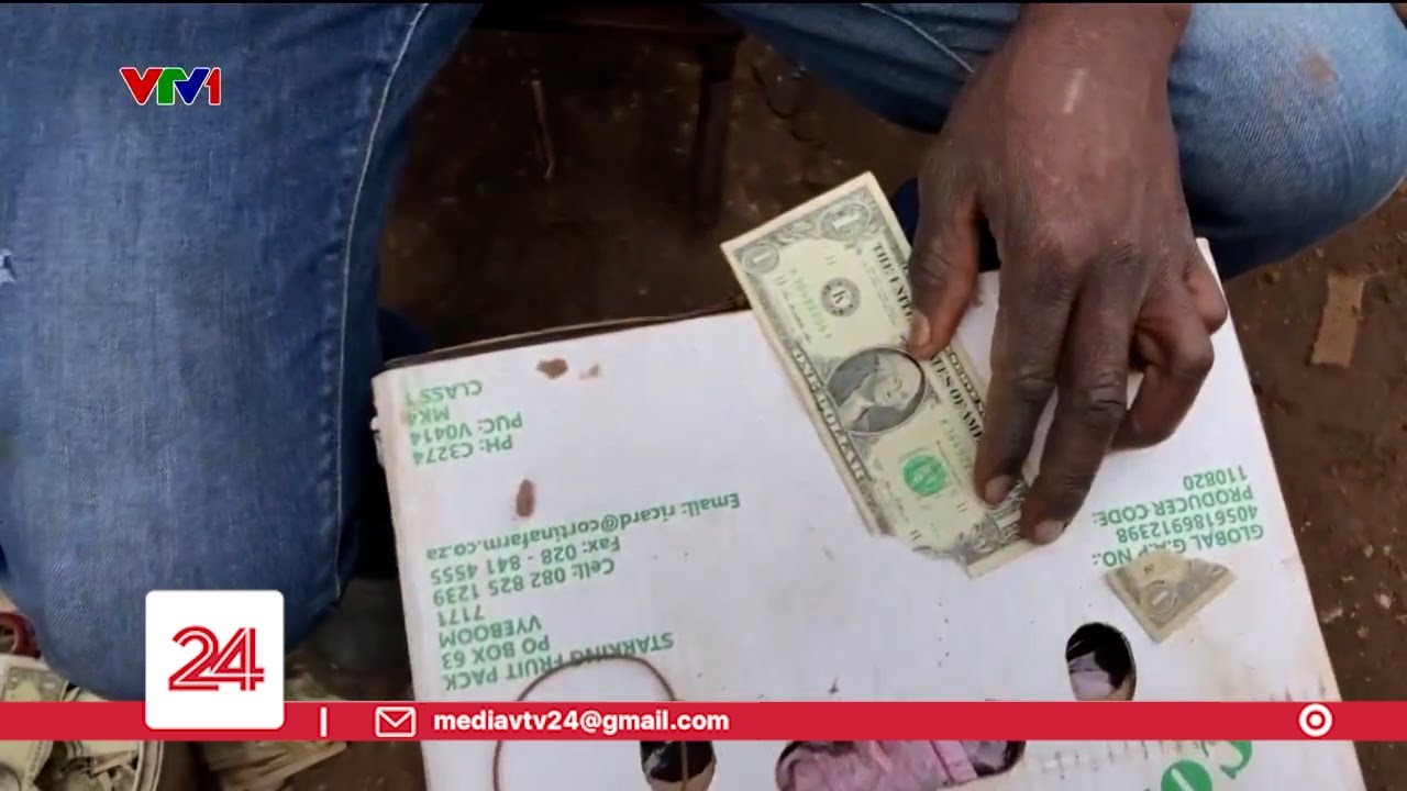 Nghề sửa tiền USD cũ ở Zimbabwe | VTV24