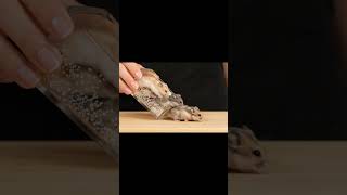 ガラスの手押し車でハムスターを運ぶ Transporting a Hamster in a Glass Wheelbarrow #glass #hamster   #asmr #shorts #ai