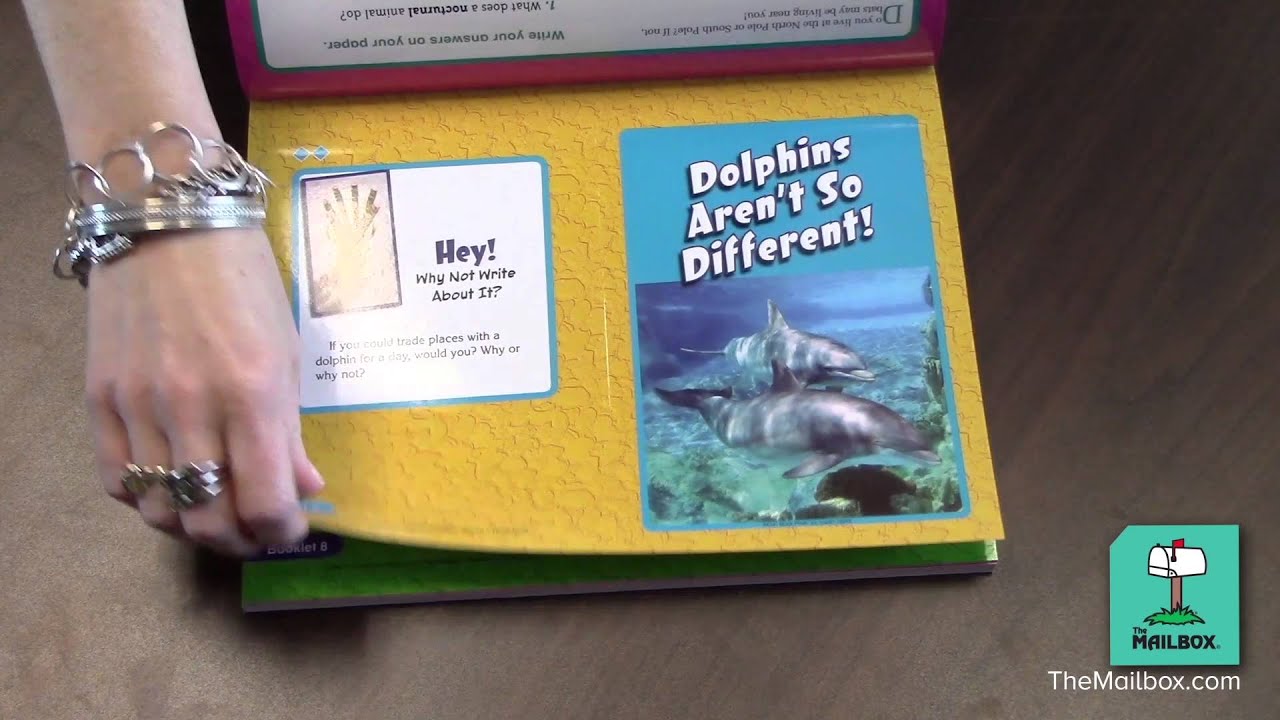Easy Nonfiction Reading Comprehension - Fold and Read Nonfiction: