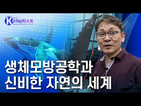 생명에서 생명을 배우다: 동물로부터 얻은 의학적 발견