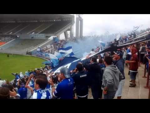 "Alvarado de mar del plata ( Tenes que salir campeones este año)" Barra: La Brava • Club: Alvarado