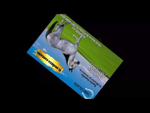 LA VICTORIA VS LA CATRINA VS EL FLACO