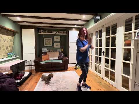 38 - Ja Sha Taan by Fun-Da-Mental